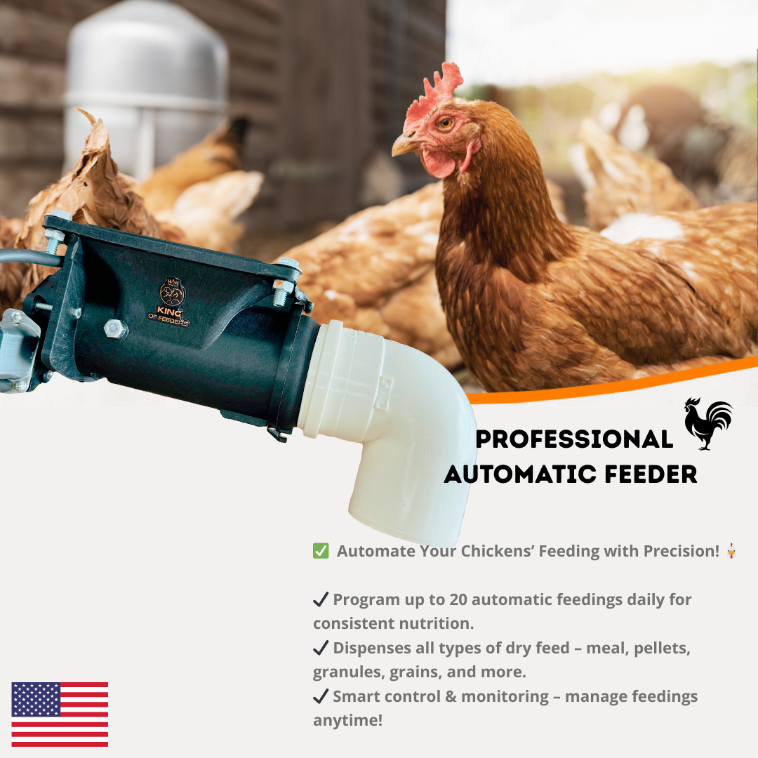 Automatic Food Dispenser Mechanism